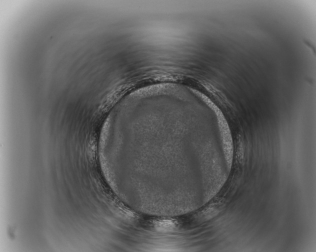 X0000100210513200806201448