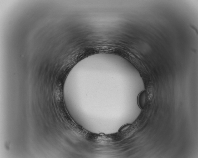 X0000100210515200806201448