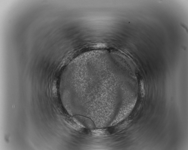 X0000100210516200806201448