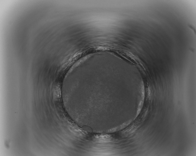 X0000100210517200806201448