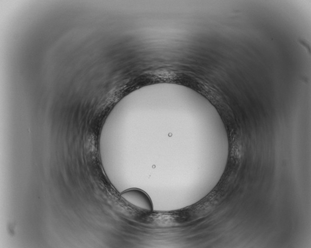 X0000100210518200806201448
