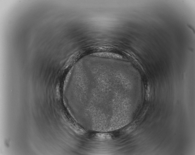 X0000100210520200806201448