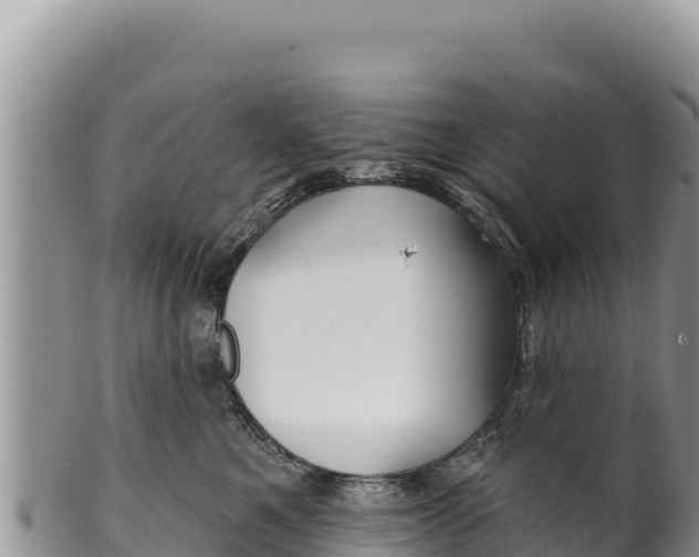 X0000100210521200806201447