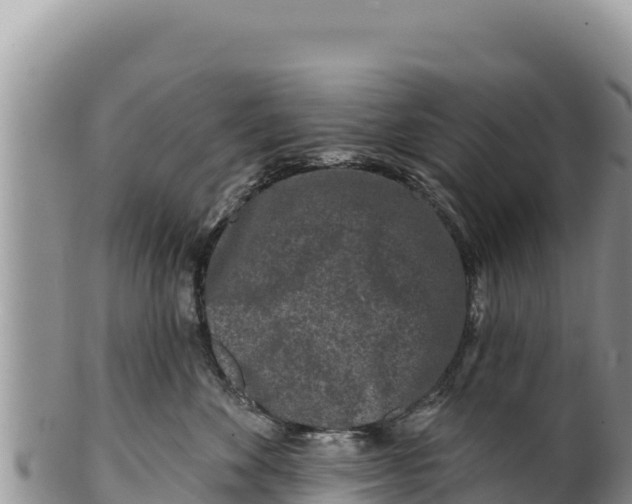 X0000100210524200806201447