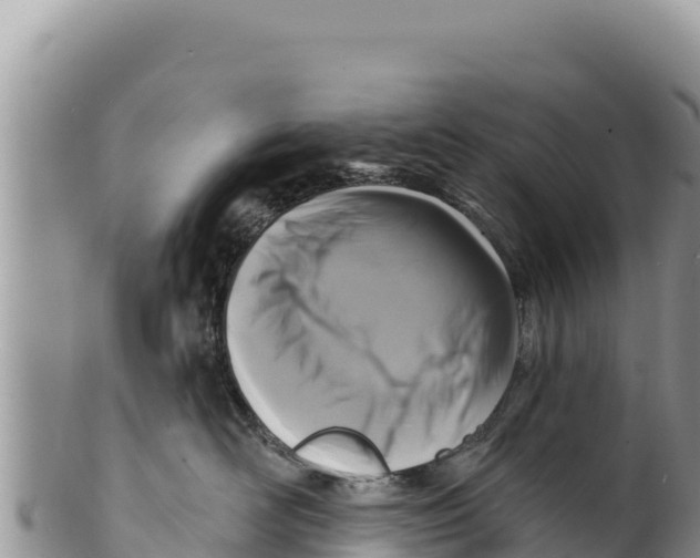 X0000100210526200806201447