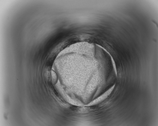X0000100210527200806201447