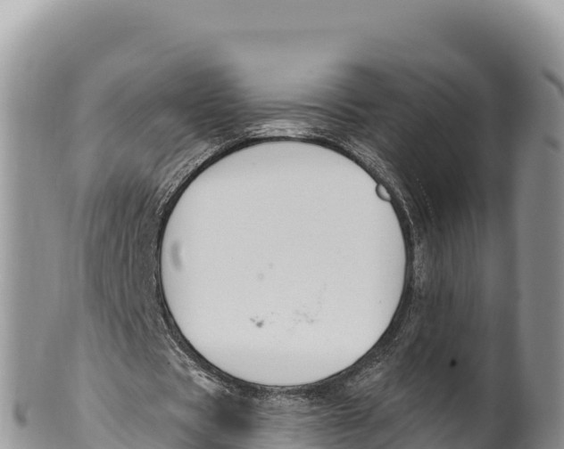 X0000100210529200806201447