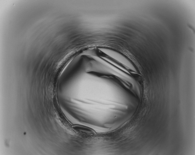 X0000100210530200806201447