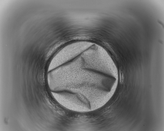 X0000100210531200806201447