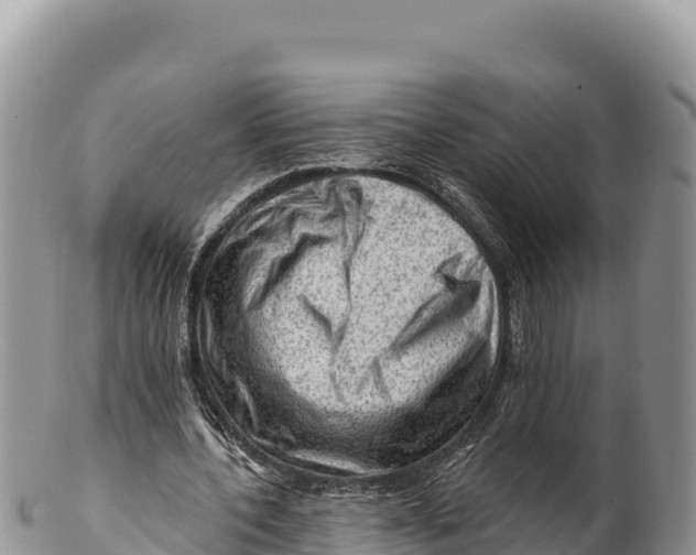 X0000100210532200806201447