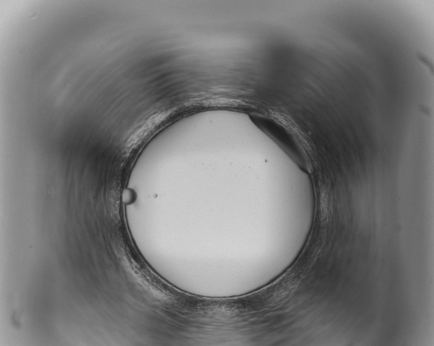 X0000100210533200806201447
