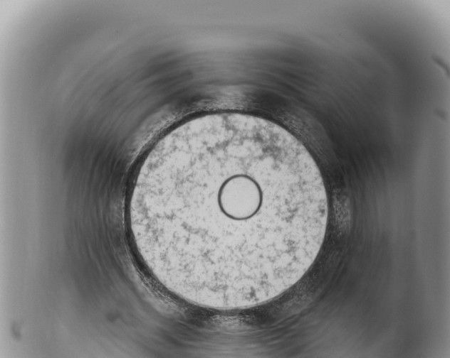 X0000100210534200806201447