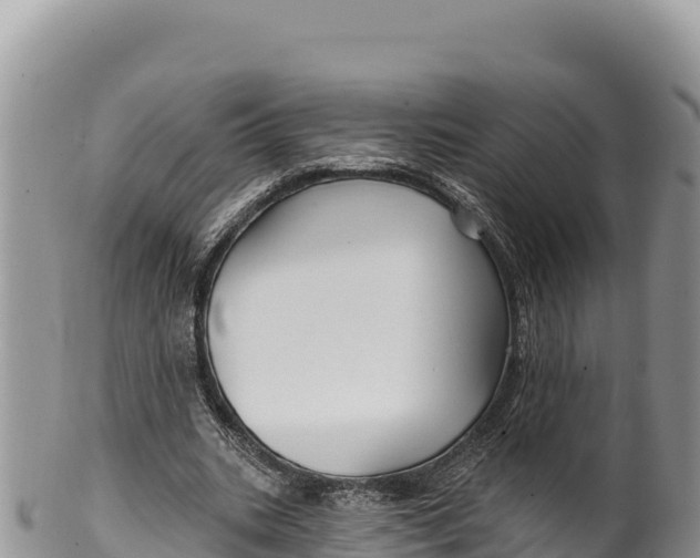 X0000100210535200806201447