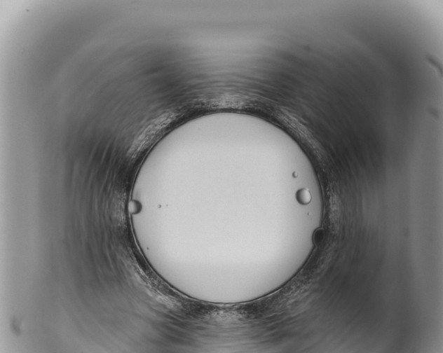 X0000100210537200806201447