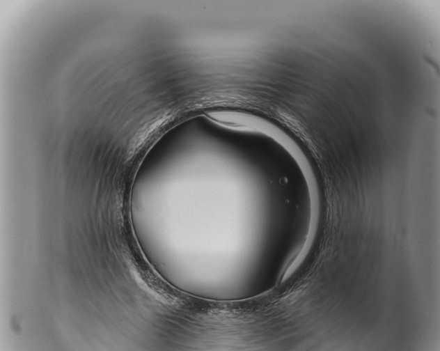 X0000100210538200806201447