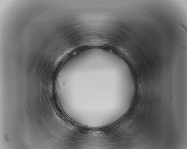 X0000100210539200806201447