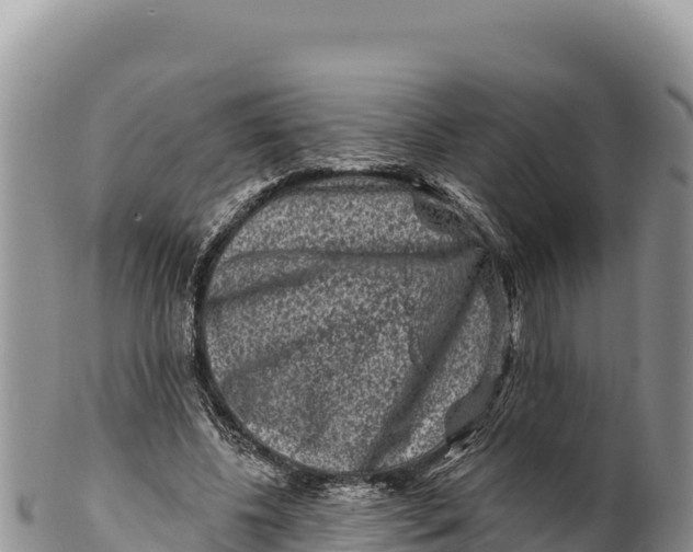 X0000100210540200806201447