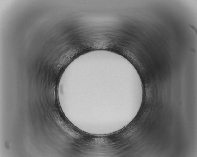 X0000100210541200806201447