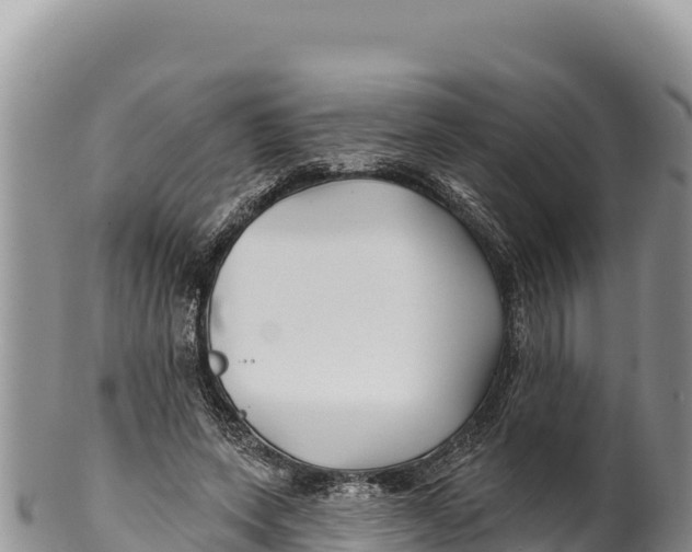 X0000100210543200806201447