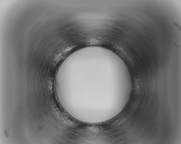 X0000100210545200806201447