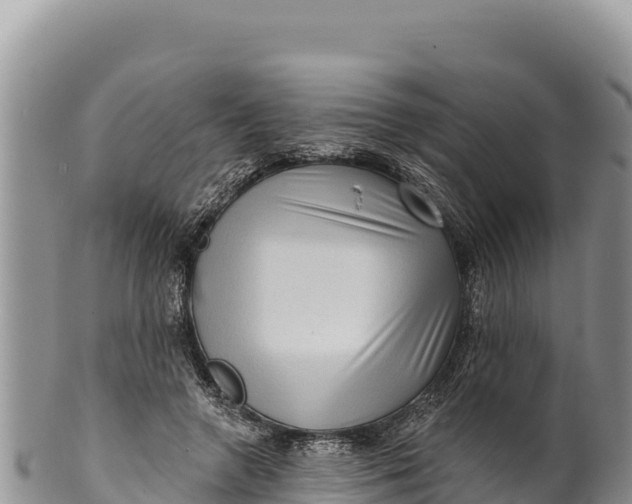 X0000100210546200806201447