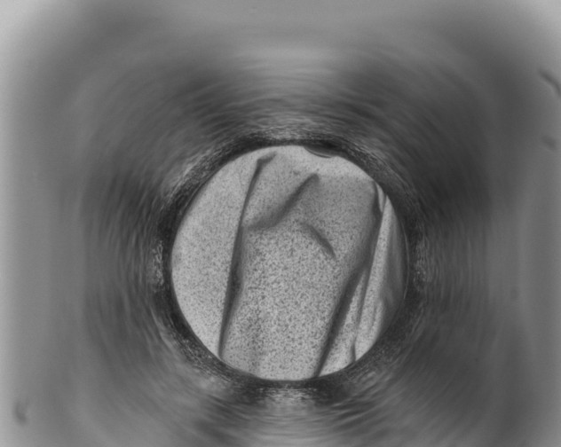 X0000100210547200806201447