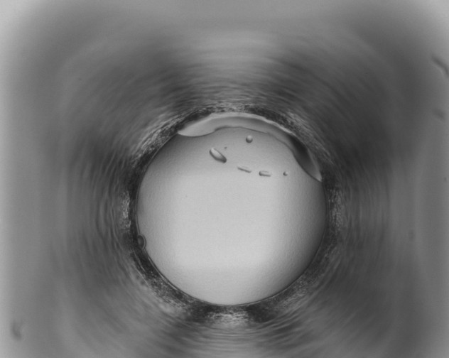 X0000100210548200806201447