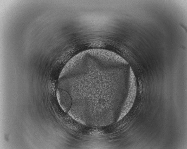 X0000100210551200806201447