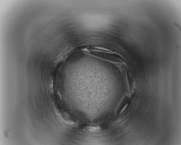 X0000100210552200806201447