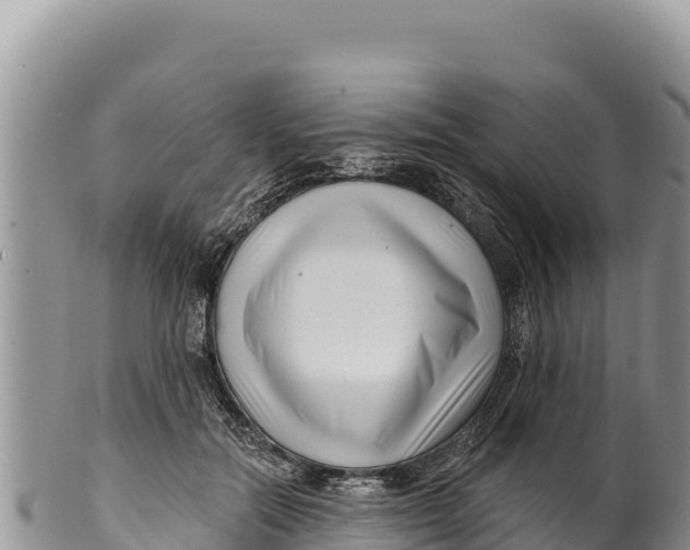 X0000100210554200806201447