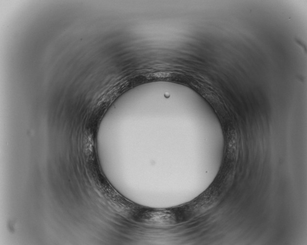 X0000100210555200806201447