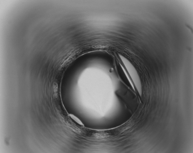 X0000100210556200806201447