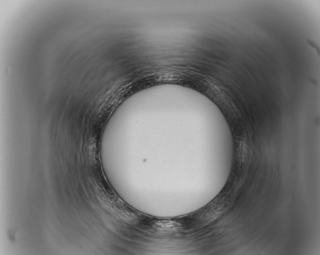 X0000100210557200806201447