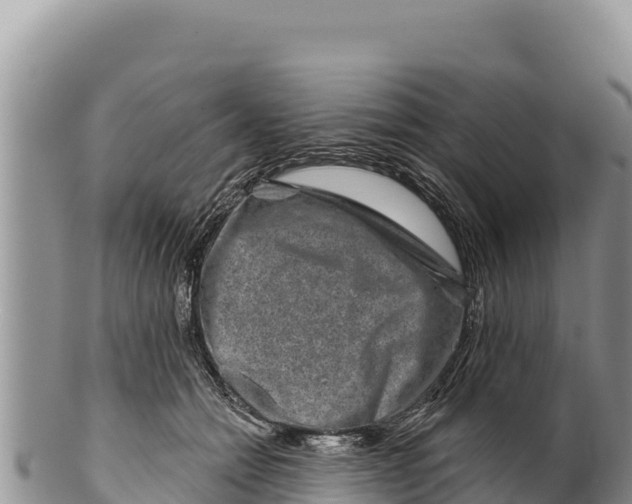 X0000100210558200806201447