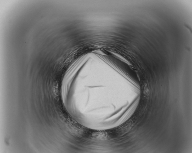 X0000100210559200806201447