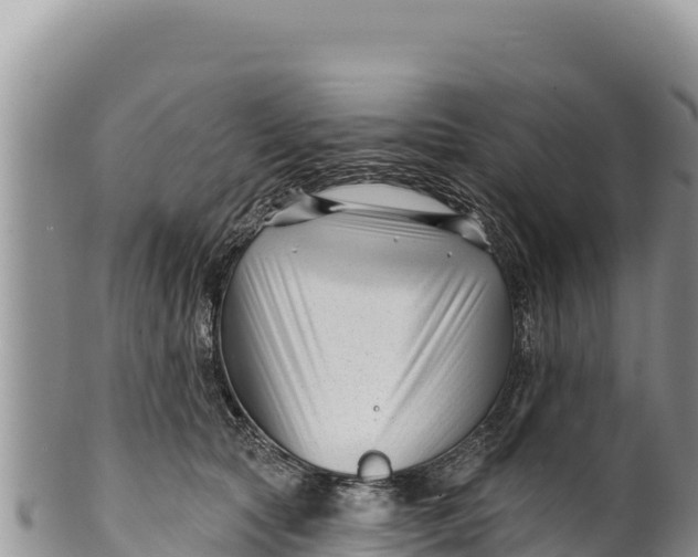 X0000100210561200806201447