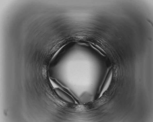 X0000100210562200806201447