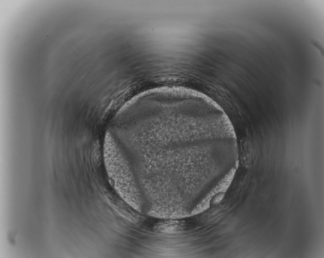 X0000100210563200806201447
