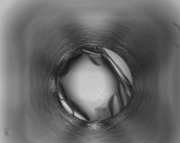 X0000100210564200806201447