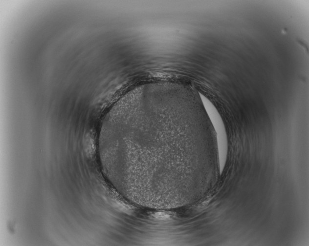 X0000100210566200806201447