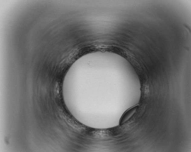 X0000100210567200806201447