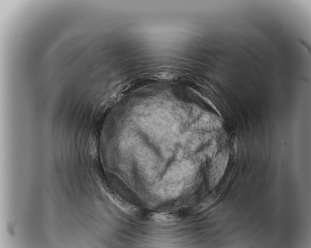 X0000100210568200806201447