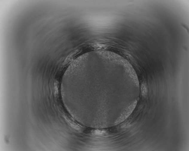 X0000100210570200806201447