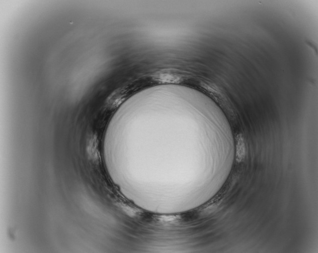 X0000100210573200806201447