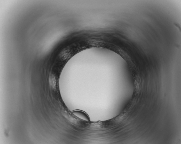 X0000100210574200806201447