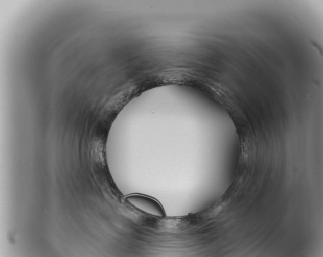 X0000100210575200806201447