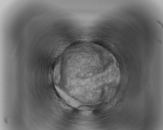 X0000100210576200806201447
