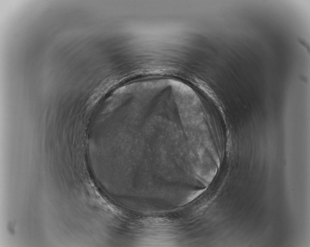 X0000100210577200806201447
