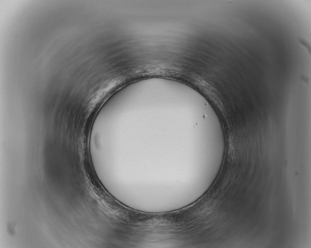 X0000100210578200806201447