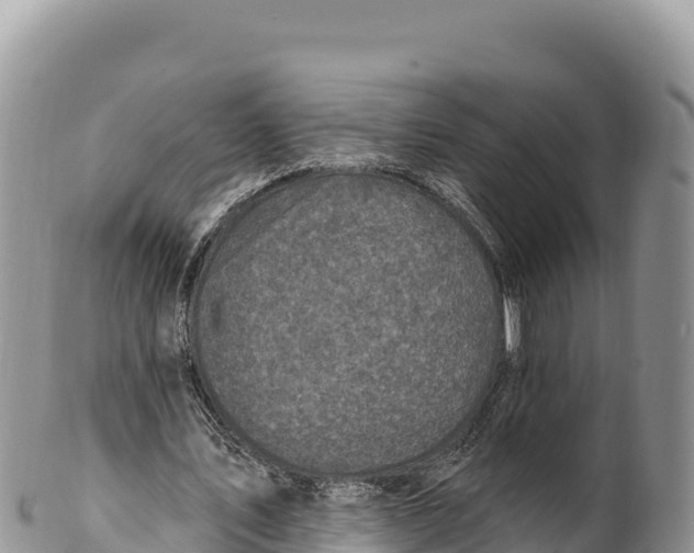 X0000100210579200806201447